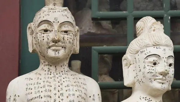 Ethnomédecines : la médecine traditionnelle chinoise