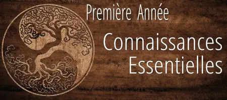 1ere année