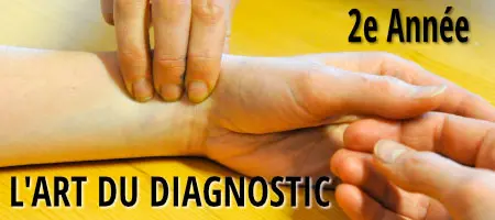 formation à la médecine traditionnelle chinoise - 2e année