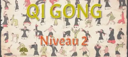 Ethnopsychologie Xin Li - Niveau 2