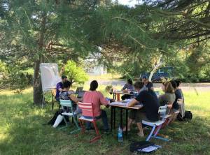 climatisation-naturelle-pour-le-cours-de-pharmacopee-2_original